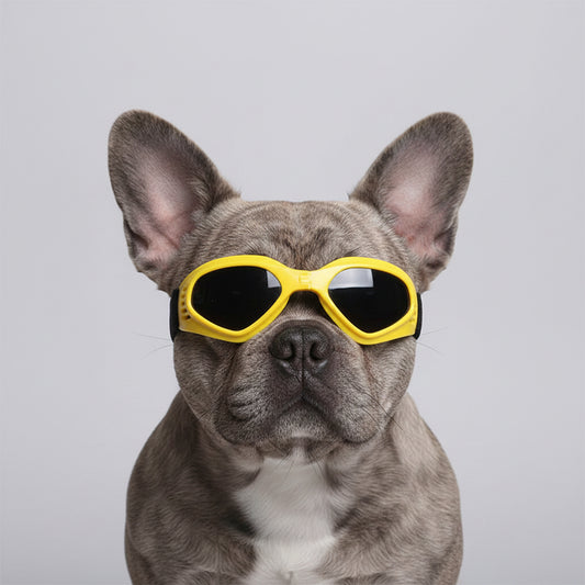 Pet Protection Chihuahua Doggles Dog Sunglasses Pet Goggles UV Eye Wear Yorkie