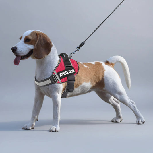Pet Dog New Reflective Comfortable Pet Chest Strap Traction Rope Leash Undershirt Pet Chest Strap